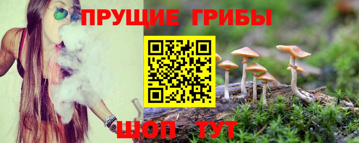 Галлюциногенные грибы Psilocybe  Галлюциногенные грибы Psilocybine cubensis  Нижний Тагил  Вход с VPN 