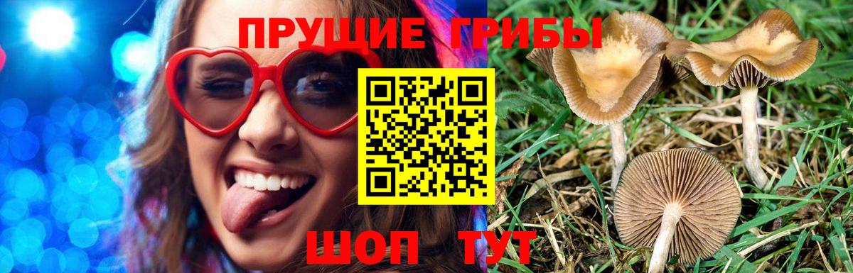 Канабис  ЭКСТАЗИ  МЕФ   Нижний Тагил  КОКАИН  Вход с VPN 