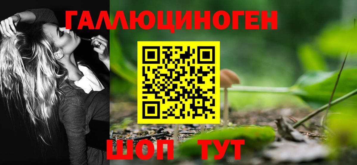 МЕФ Нижний Тагил